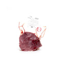 BIO Mangalica stehno bez kosti Salka. 100g