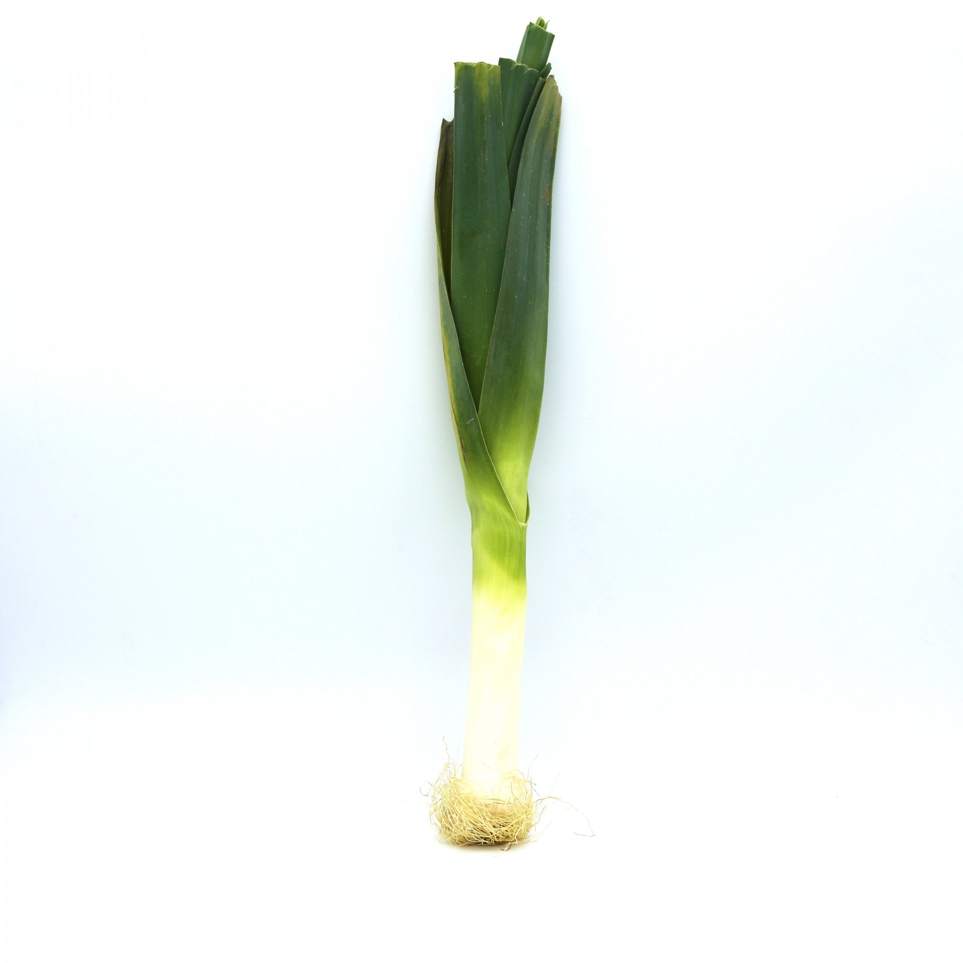 Pór ks.