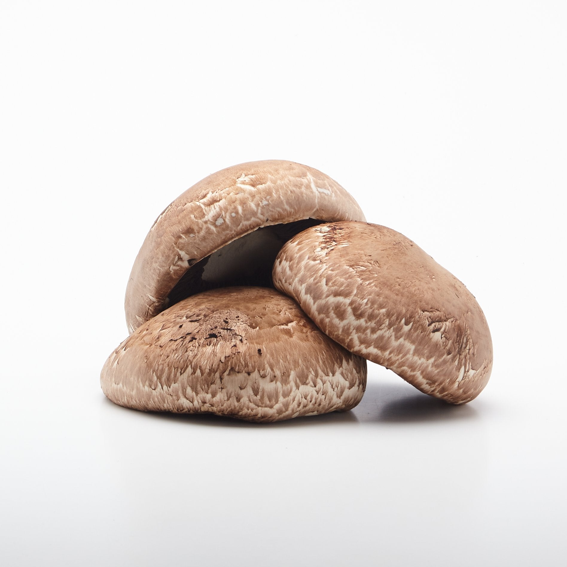 BIO Šampiňóny Portobello. 100g